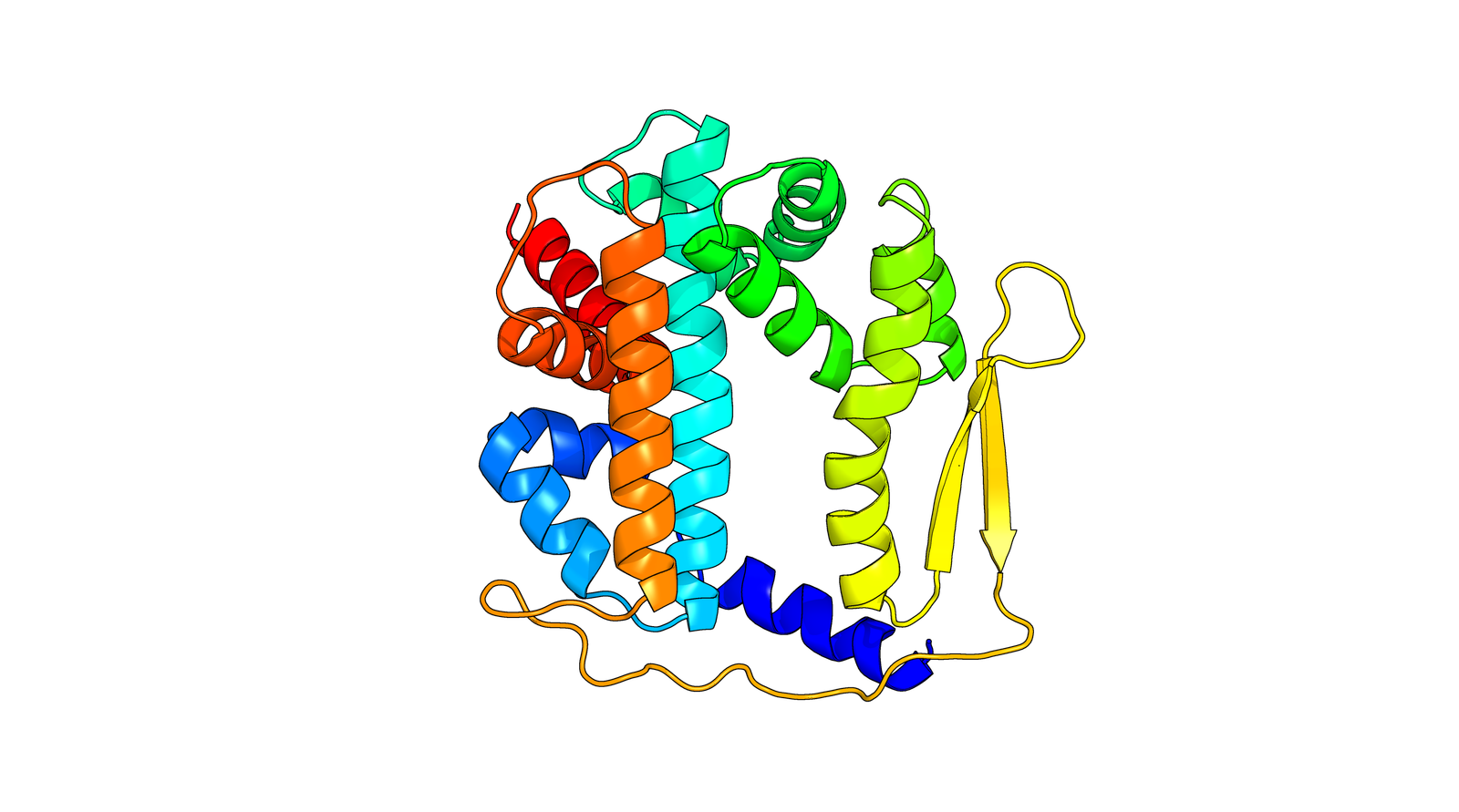 Protein Structure 1